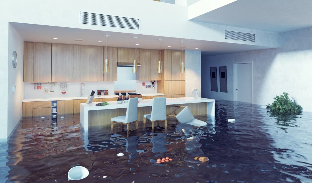 What To Do After a Flood: Navigating the Recovery Process with Confidence